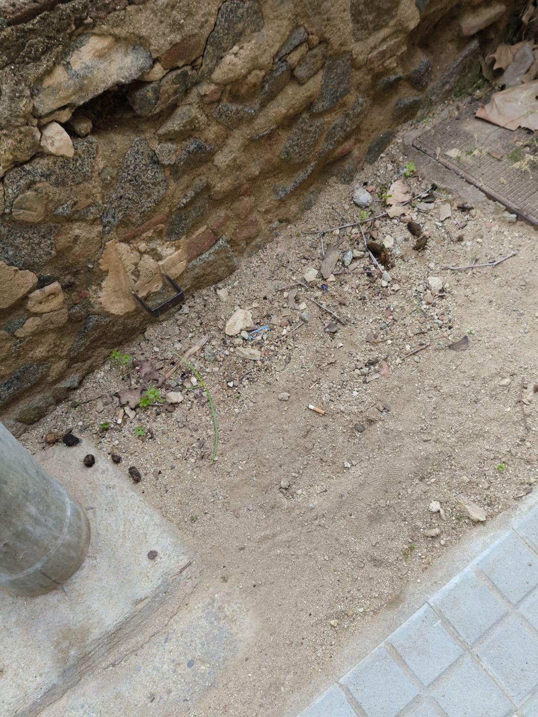 Vorera pujant la riera salvet