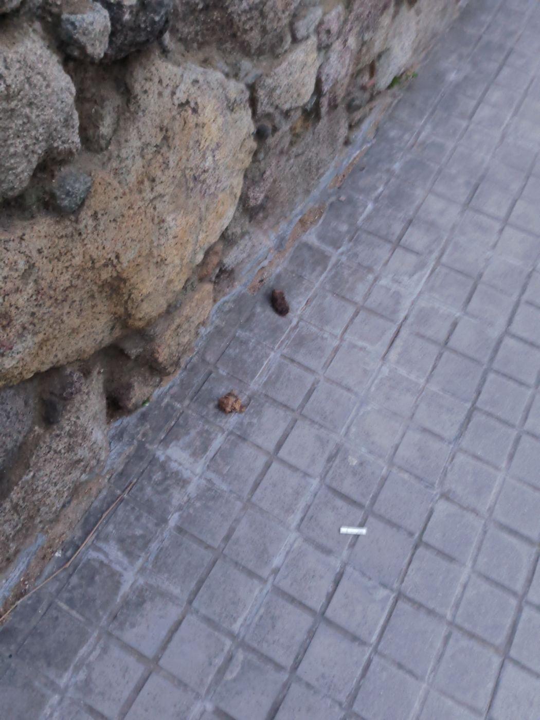 A la riera de Targa davant de Can Rafart