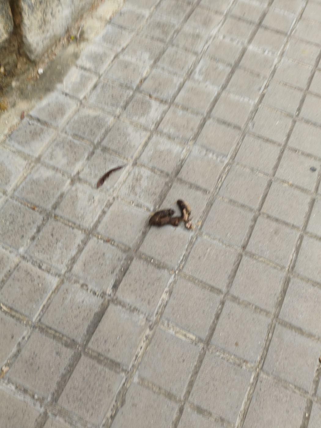 Al costat de l'escola bressol