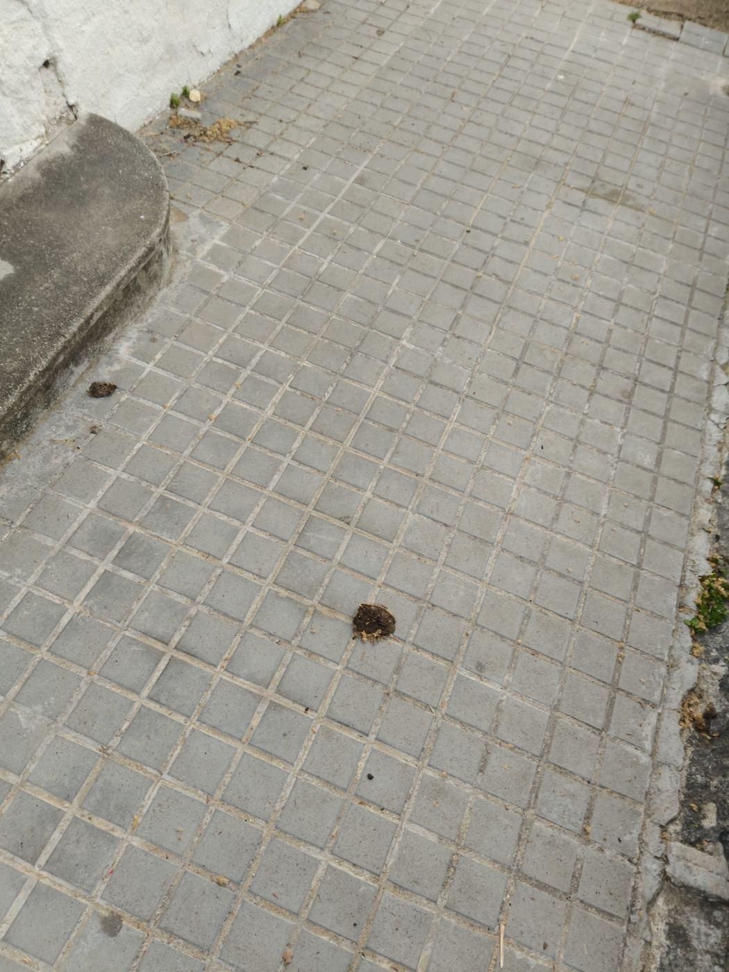 Germanets a la riera de targa