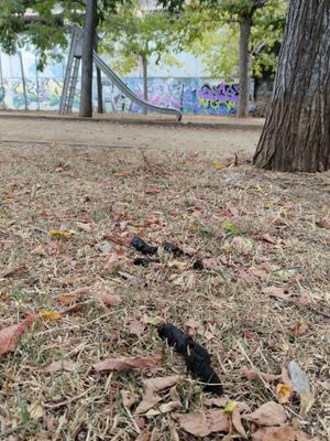 Al parc infantil de Can Banús