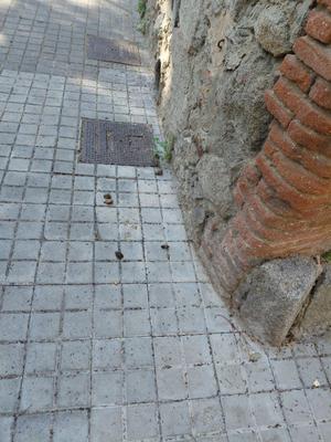 A la porta de la piscina