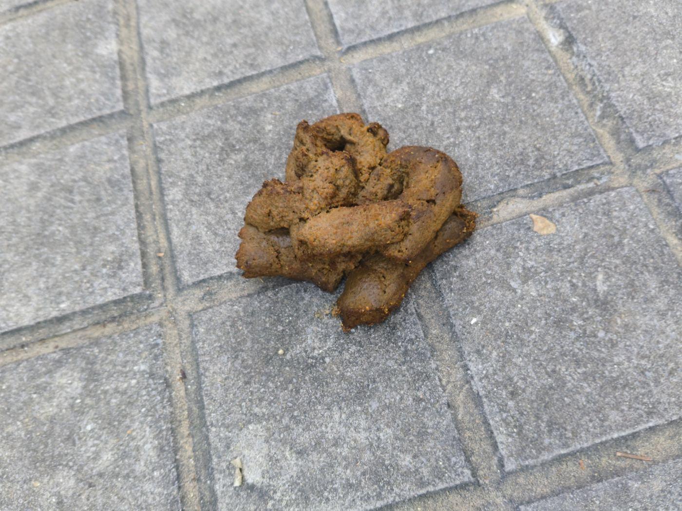 Obra d'art a marques de barbara