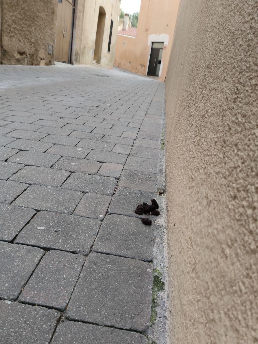 Al carrer mare de deu del carme