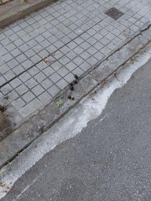 La segona del trajecte