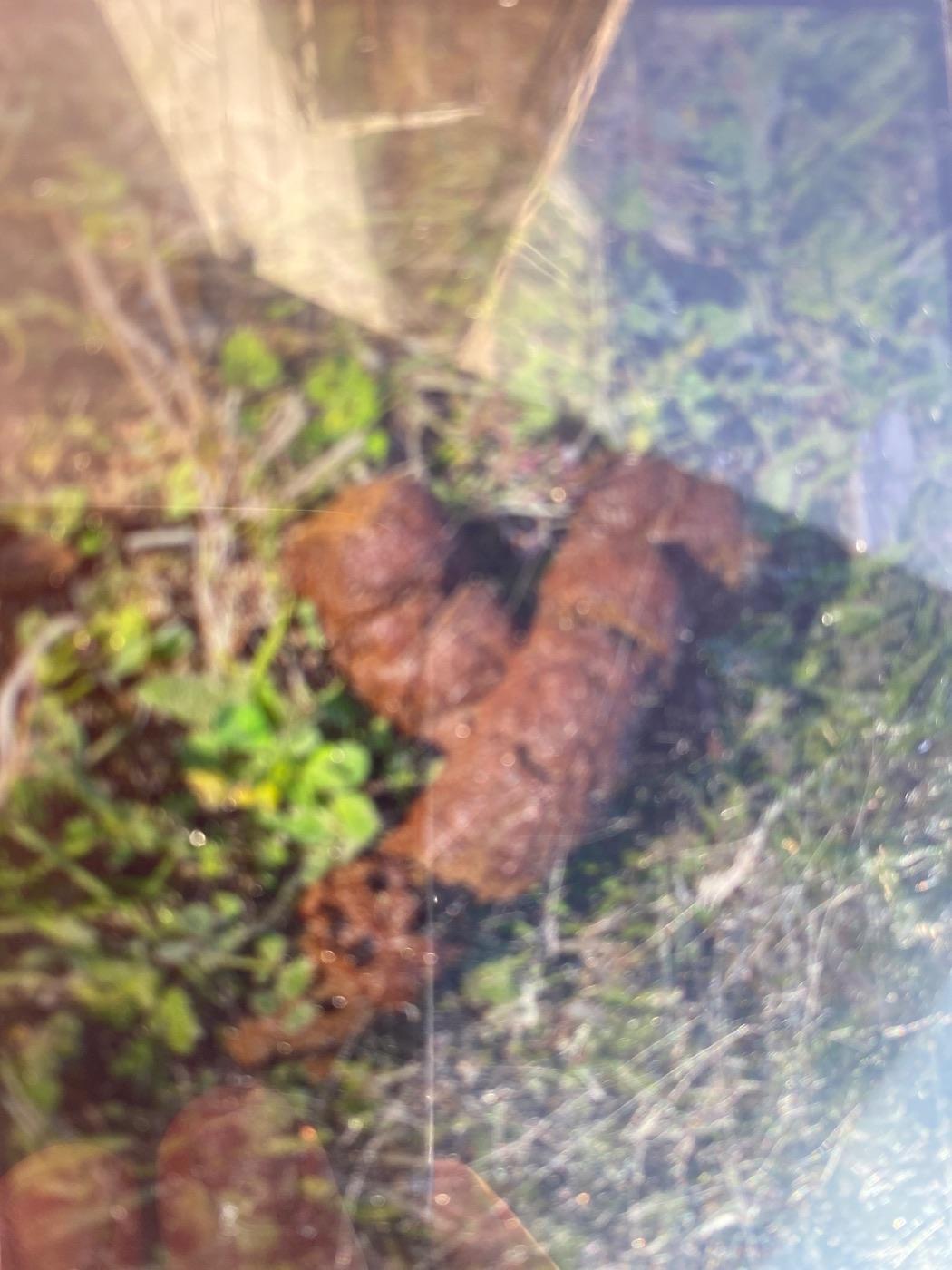 L’obra d'un gran fill de puta