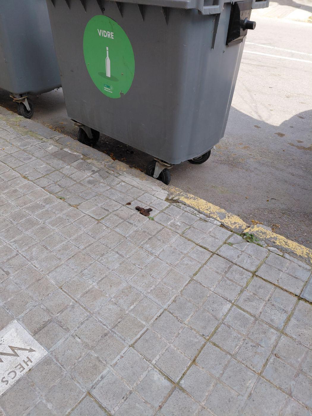 A la vorera de la riera de targa