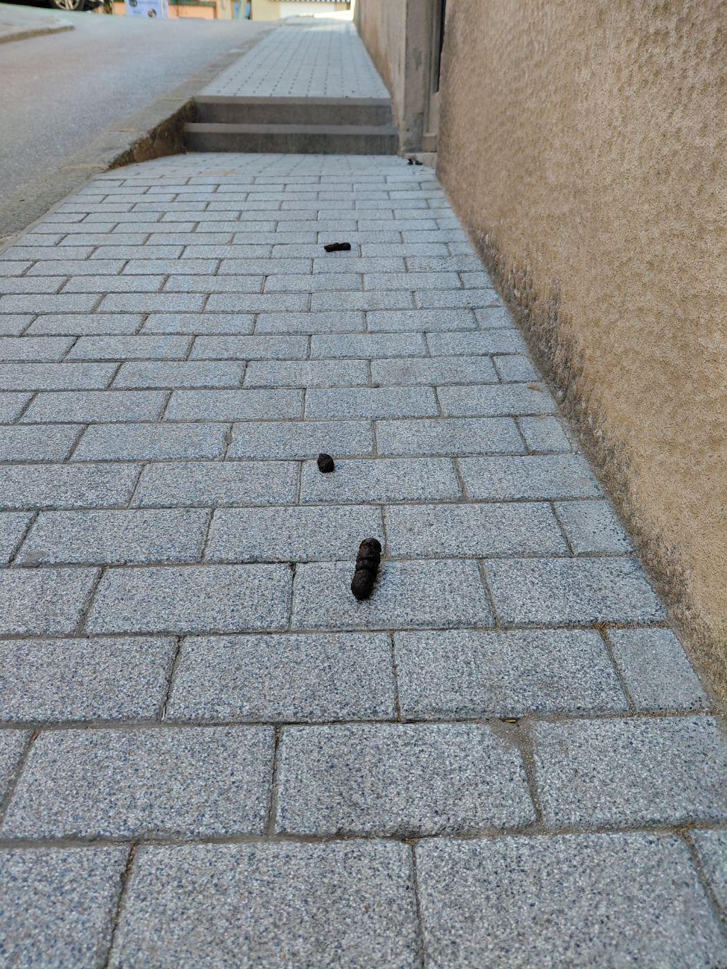 De cami a l'ajuntafems